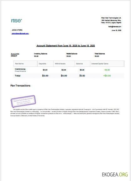 Modèle Word et PDF de relevé de compte Nigeria Rise Vest